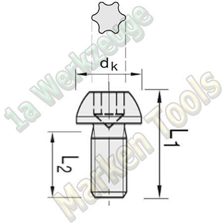 T9 Torx Schraube M3x4mm dk=5,5mm L1=5,7mm 10 Stück