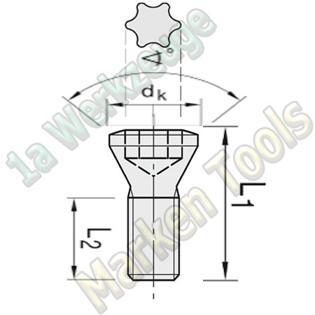 T9 Torx Schraube M3x2mm 60° dk=5,3mm L1=5,5mm 10 Stück