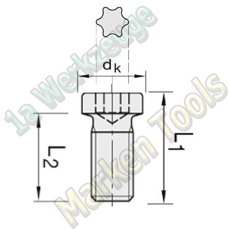 T15 Torx-Schraube M3,5 x 5,5mm dk=6mm L1=7,9mm 10 Stück
