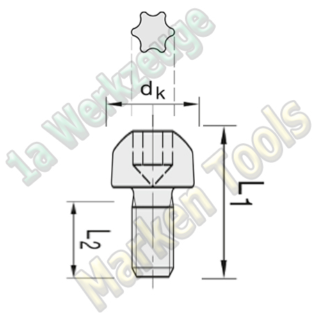 T15 Torx-Schraube M4x5mm Rundkopf 10 Stück