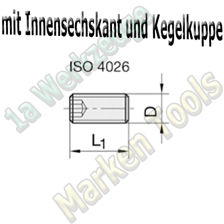 Gewindestift M5x5 ISO 4026 (mit Innensechkant und Kegelkuppe) 10 Stück